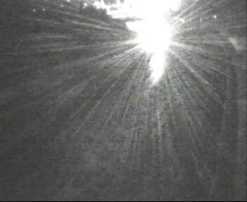 Webcam autoroute Suisse - Bardonnex - A1 direction Lausanne