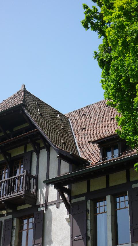 iconographie