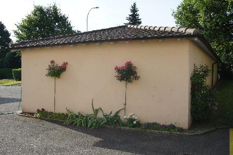 iconographie