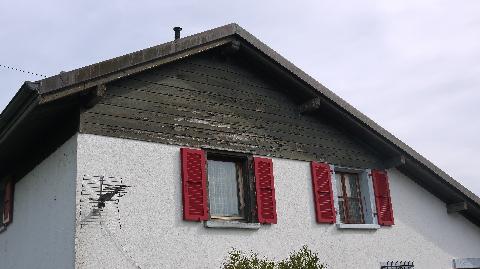 iconographie