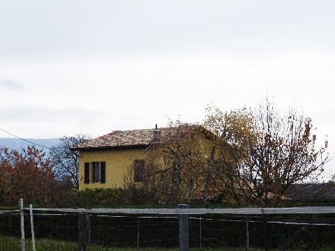 iconographie
